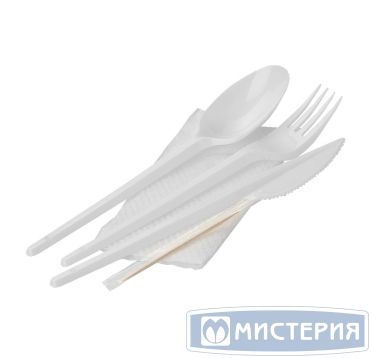 Комплект столовых приборов №5 [лож.ст.+ вил.+ нож: 165 мм, бел., ПС+ салф.+ з/ч.], 300 шт/кор 300 шт/упак РОССИЯ Н51-004